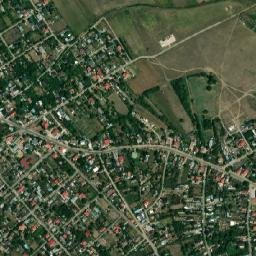 Dascălu map(satellite map)