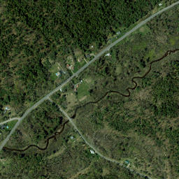 Peasleeville New York High Resolution Satellite Map
