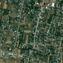 Vişina map(satellite map)