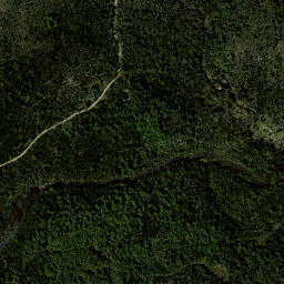 Two Brooks New York High Resolution Satellite Map