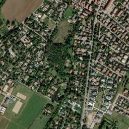 Montale map(satellite map)