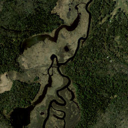 Spring Cove New York High Resolution Satellite Map