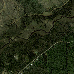 Goldsmith New York High Resolution Satellite Map