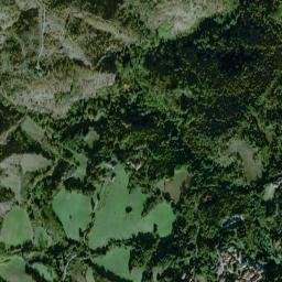 Malvicino map(satellite map)