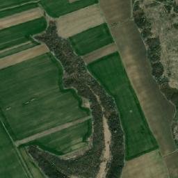 Râmești map(satellite map)