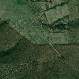 Lungeşti map(satellite map)
