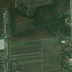 Grădinari map(satellite map)