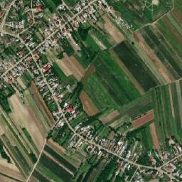 Poiana map(satellite map)