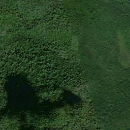 Satellite view of Horseshoe Valley Club