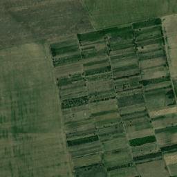 Movila map(satellite map)