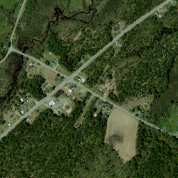 Harkness New York High Resolution Satellite Map