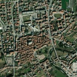 Busca map(satellite map)