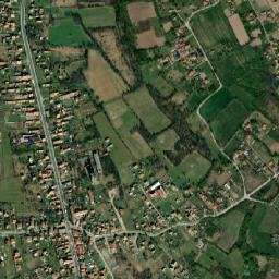 Stepojevac map(satellite map)