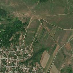 Livezile map(satellite map)