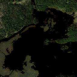 Madawaska New York High Resolution Satellite Map