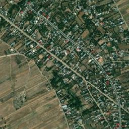 Fierbinți map(satellite map)