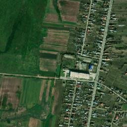 Curtişoara map(satellite map)