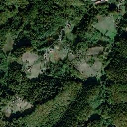 Tršić map(satellite map)