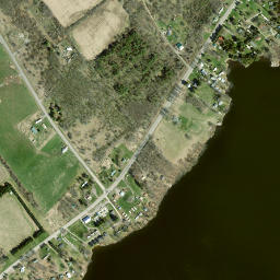 Cedars New York High Resolution Satellite Map