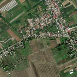 Ulmi map(satellite map)