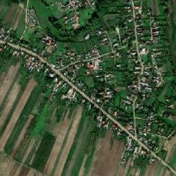 Sârbeni map(satellite map)