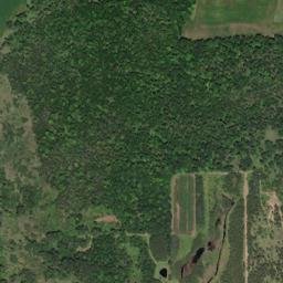 Waupaca County map(satellite map)