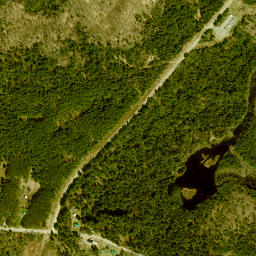 Stark New York High Resolution Satellite Map