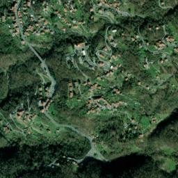 Bargagli map(satellite map)