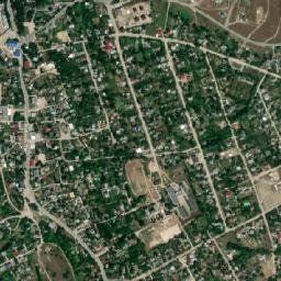 Orlinoye map(satellite map)