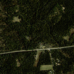 Forestdale New York High Resolution Satellite Map