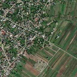 Cartojani map(satellite map)