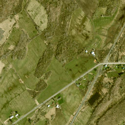 Bigelow New York High Resolution Satellite Map