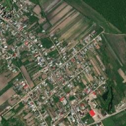 Sadina map(satellite map)