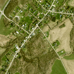 Richville New York High Resolution Satellite Map