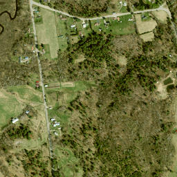 Palmerville New York High Resolution Satellite Map