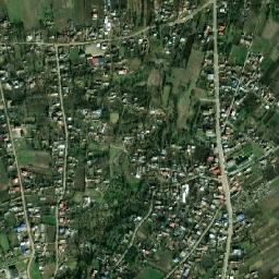 Bacea map(satellite map)