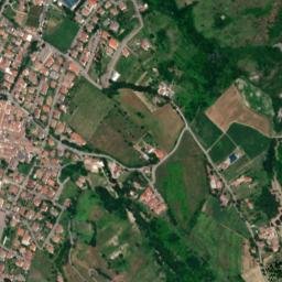 Savigno map(satellite map)