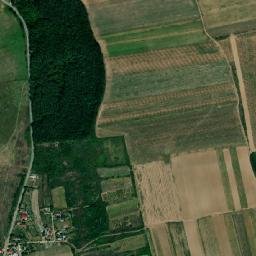Bobiceşti map(satellite map)
