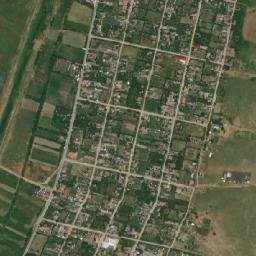 Nicolae Bălcescu map(satellite map)