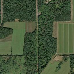 Satellite view of Bull's Eye Country Club