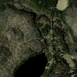 Derrick New York High Resolution Satellite Map