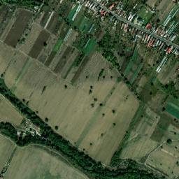 Alunișu map(satellite map)