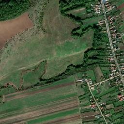 Baciu map(satellite map)