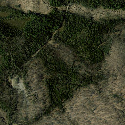 Kildare New York High Resolution Satellite Map