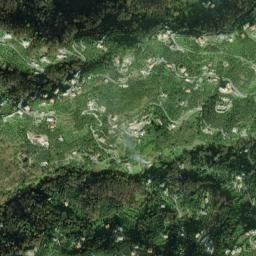 Cogorno map(satellite map)