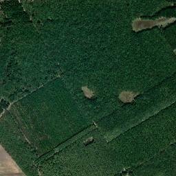 Nicolae Titulescu map(satellite map)