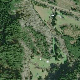 National Forest Development Road 32, Siuslaw National Forest High Resolution Satellite Map