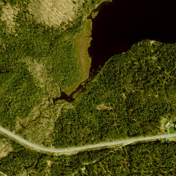 Childwold New York High Resolution Satellite Map