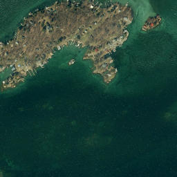 Grenell New York High Resolution Satellite Map