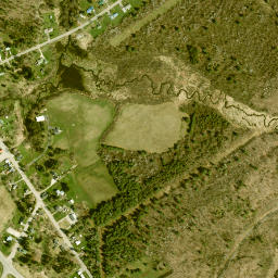 Fowler New York High Resolution Satellite Map